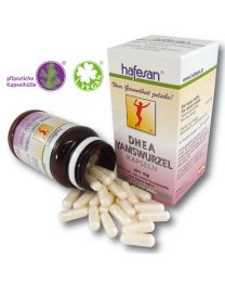 hafesan DHEA* Yam Root 400 mg Capsules