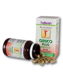hafesan Ginko Plus 160 mg kapsule