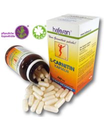 hafesan L-Carnitin 340 mg Kapseln